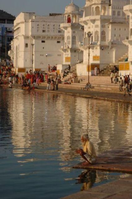 Fullday pushkar tour from jaipur with guid+camel/jeep safari - Value for money: what $49 gets you, and what to verify
