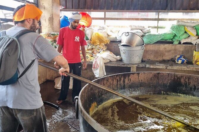 Golden Temple and Jallianwala Bagh Guided Tour - Golden Temple Architecture Facts: A Quiet Place to Watch Closely