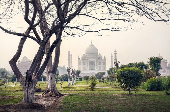 Golden Triangle Tour - Taj Mahal at Sunrise: How to Get the Icon and Still Enjoy Yourself