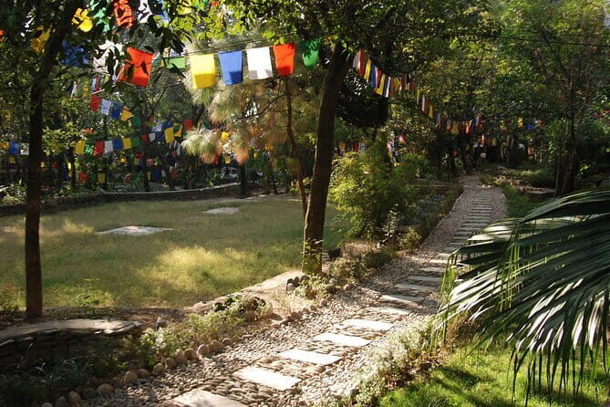 Guided 6 hrs Dharamshala's Tibetan monasteries & Nunnery tour - Namgyal Monastery: where Tibetan art and the Dalai Lama’s tradition set the tone