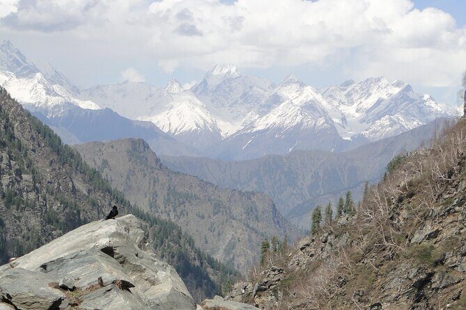 Guided Day Hike to Guna Devi Temple from Mcleodganj - Why This Hike Works as a Dharamshala Day Plan