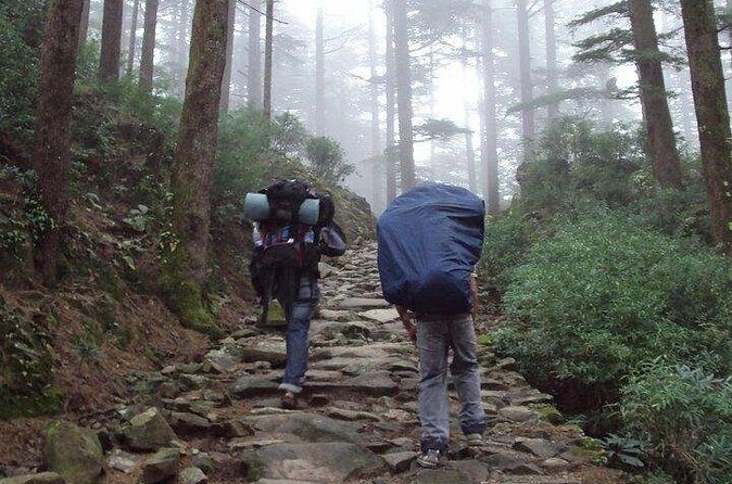 Guided Day Hike to Guna Devi Temple from Mcleodganj - Group Size, Guides, and Why Support Is a Big Deal Here