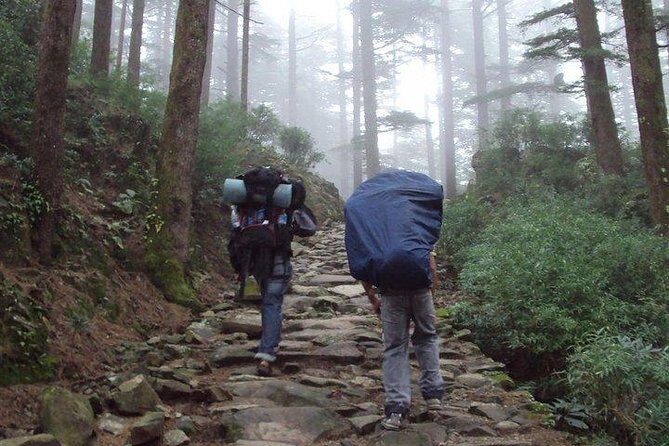 Guided Day Hike to Guna Devi Temple from Mcleodganj - From Naddi Main Square to the Shrine: The Route in Plain Terms