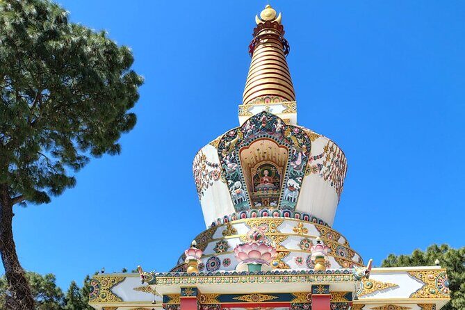 Guided Day Tour to Bir – Monasteries,Temple & Tea Garden Visit - What your English-speaking guide adds (and why it matters)