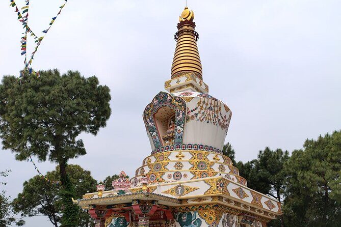 Guided Day Tour to Bir – Monasteries,Temple & Tea Garden Visit - The ride: hotel pickup, private transport, and real mountain views