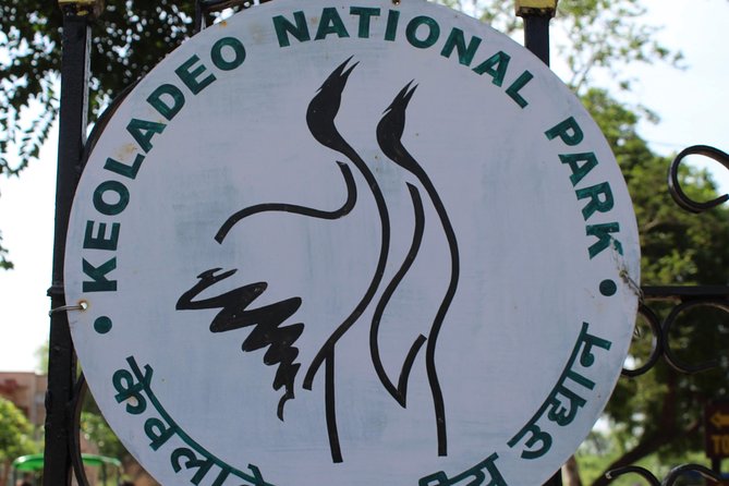Guided Keoladeo Bird National Park Tour in Bharatpur from Jaipur - A Fast Start From Jaipur That Feels Like a Safari Day