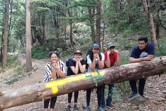Guided Kora Circuit & Walking Tour Around McLeod Ganj - Why the Kora Circuit walk feels like the real McLeod Ganj story