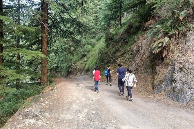 Guided Kora Circuit & Walking Tour Around McLeod Ganj - Value math: is $31 worth it for a guided Kora Circuit?