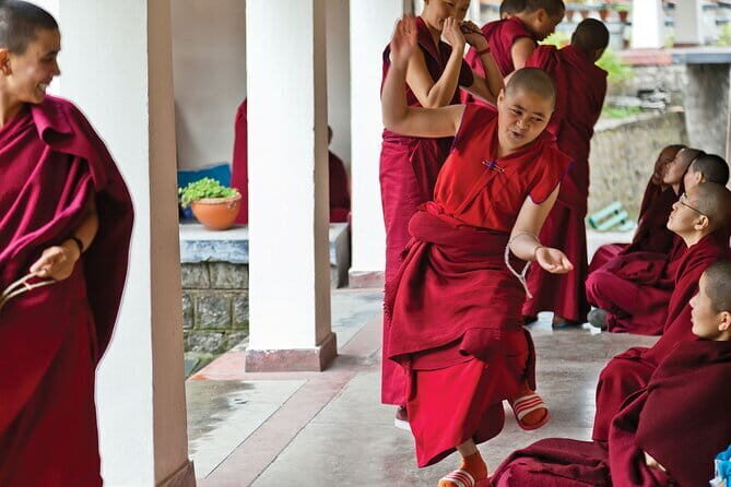 Guided Tibetan Culture Walk at Norbulingka,Gyuto and Nunnery - Norbulingka Institute: where Tibetan exile life has a public face