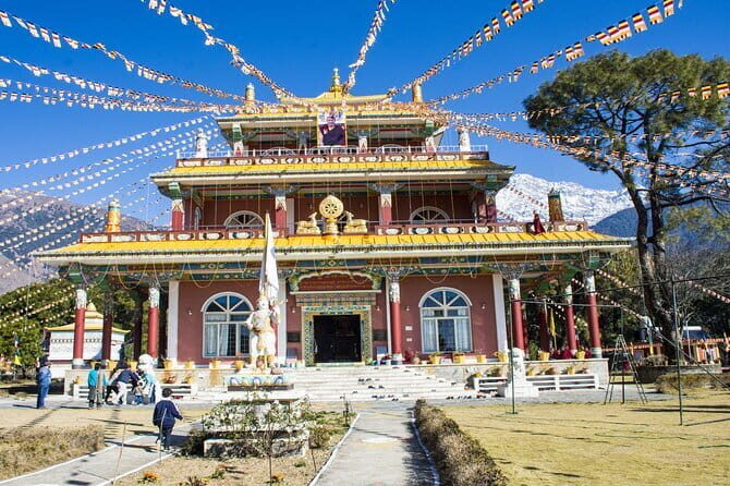 Guided Tour to Palampur-Monasteries, Temple & Tea Gardens visit - Getting To Palampur From Dharamsala Without the Headache