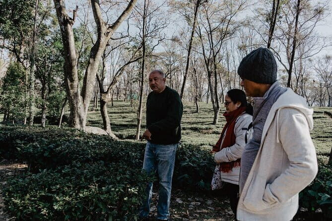 Guided Tour to Palampur-Monasteries, Temple & Tea Gardens visit - Price and Value: Why $46 Can Work (If You Want This Mix)