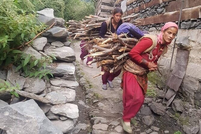 Guided Village walk with Stories in Dharamsala - Deodar and pine trails with birds and Dhauladhar views