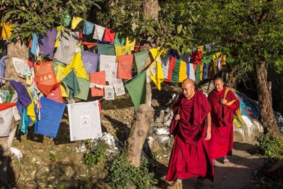 Guided Walk, India's Own Mini Tibet at Mcleodganj - Who should book this walk (and who should skip it)