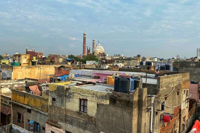 Half-Day Premium Classic Old Delhi Cycling Tour - Unity in Diversity - Premium Trek bike + safety jacket: comfort is not an afterthought