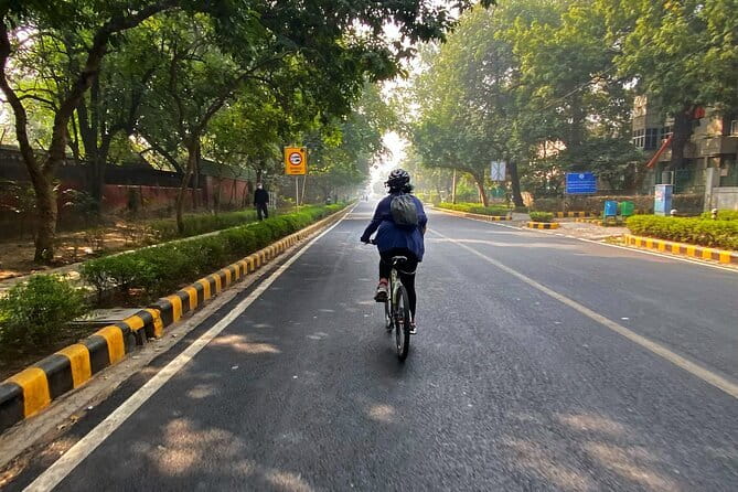 Half-Day Premium Delhi Heritage Cycling Tour - An Illustrious Tryst with time - The stretch to Amrita Sher-Gil Lane: seeing Delhi through where people live