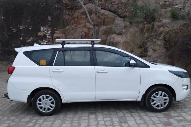 Half-Day Private Sightseeing tour to Wildlife SOS from Agra - The drive out of Agra: expect a real road, not a postcard