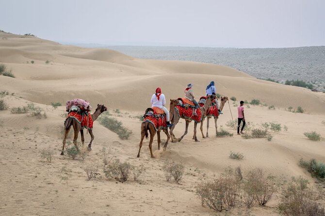 Half Day Sunset Camel Safari Jaisalmer - Key highlights that matter