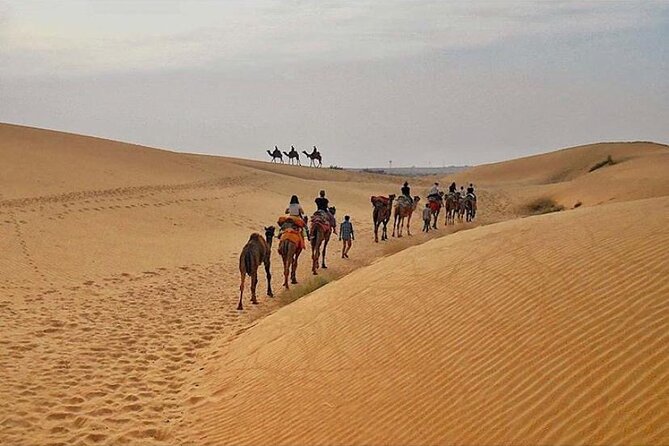 Half Day Sunset Camel Safari Jaisalmer - Non-crowded camel safari in Jaisalmer: what makes it feel real