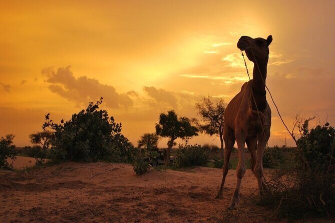 Half-Day Sunset tour with cultural program - Sunset on Isolated Dunes: Why This Timing Works