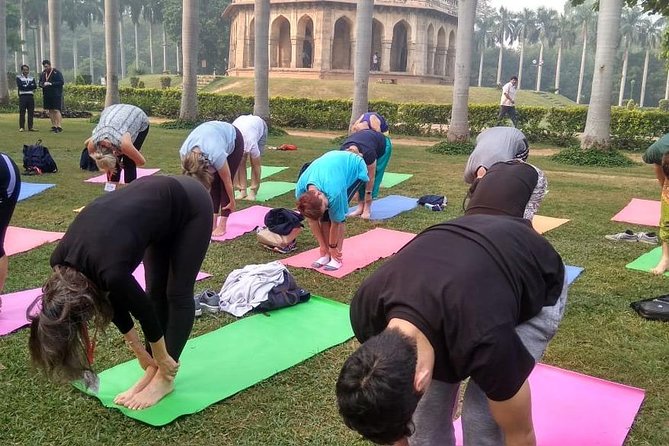 Half Day Yoga Meditation Workshop (6 Hrs) in New Delhi - The hands-on sequence: 12 asanas, breath-work, and guided meditation