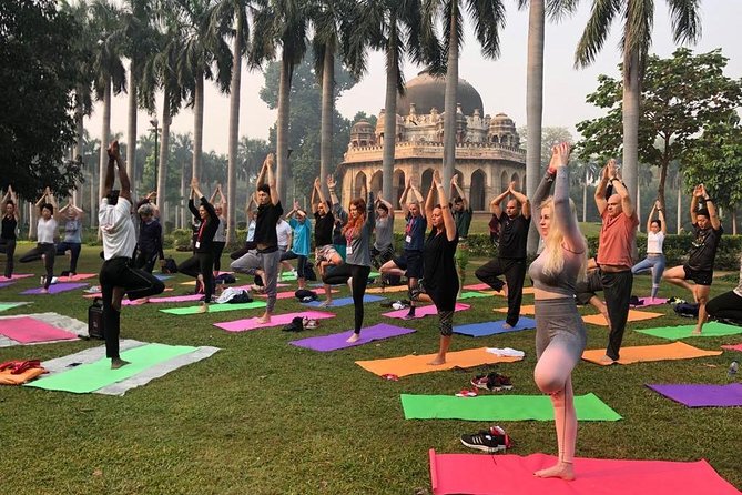 Half Day Yoga Meditation Workshop (6 Hrs) in New Delhi - Price and value: is $181.40 per person fair?