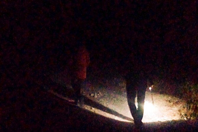 Haunted walk - Lambi Dehar Mines: Why This Haunted Walk Works