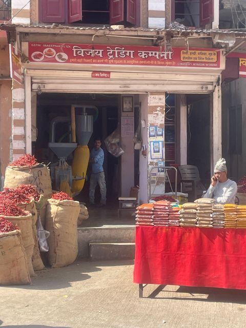 Heritage Walk, Local Markets & Food Tasting - Non Touristy - Walking Udaipur the way locals move, eat, and talk