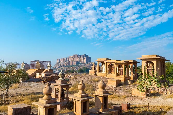 Highlights of Jodhpur (Guided Half Day City Sightseeing Tour by Car) - Stop 2: Rao Jodha Desert Rock Park for Thar Desert Plants