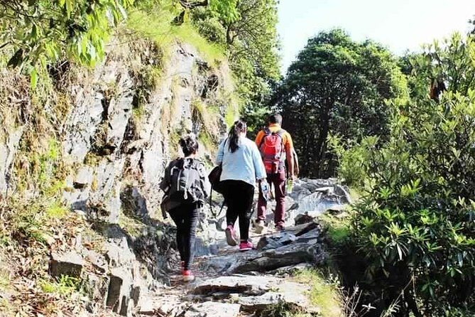 Hiking Day Tour to Triund from Dharamshala - Key points worth knowing before you go
