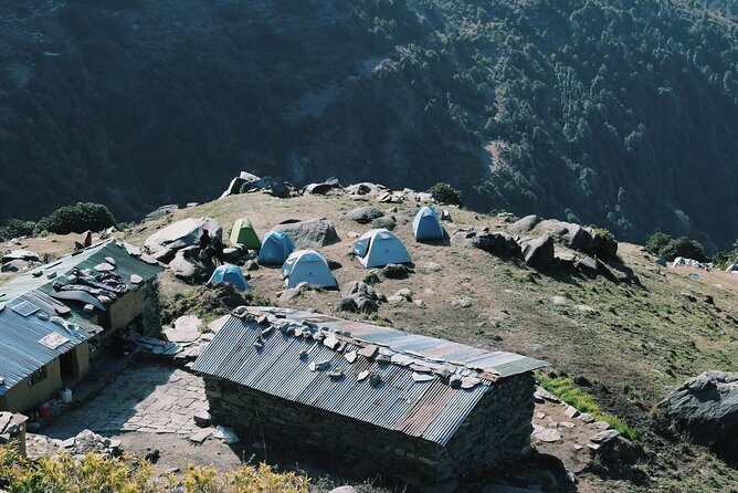 Hiking Day Tour to Triund from Dharamshala - Guides and pace: what you’ll actually feel during the hike