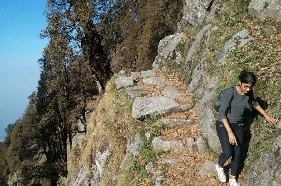 Hiking Day Tour to Triund from Dharamshala - Price and logistics: value at $38, plus a couple extras