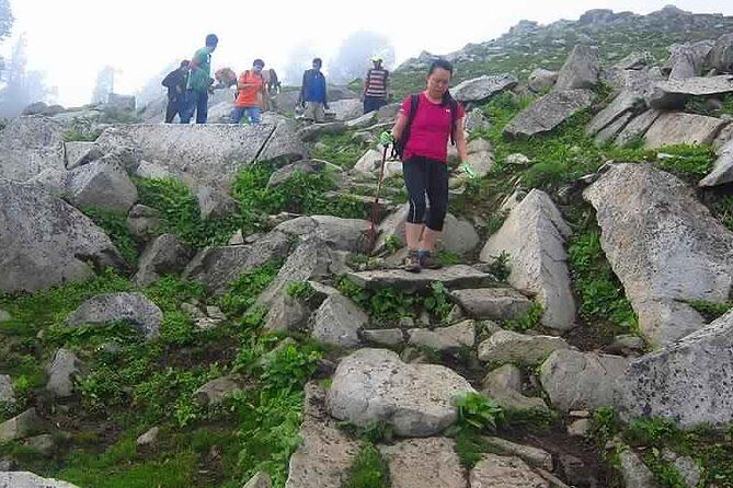 Hiking Day Tour to Triund from Dharamshala - Meeting up in McLeod Ganj: where your guide takes over