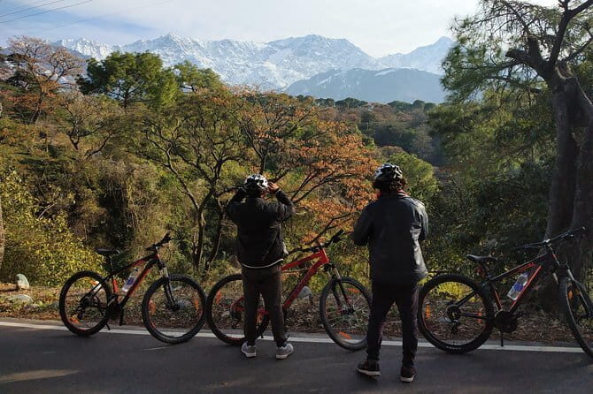 hilloferry - a guided cycling tour - What you’ll ride through: villages, tea gardens, forests, and viewpoints