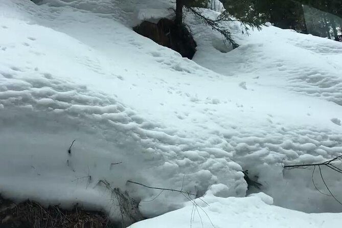 Himachal Tour Package - Solang Valley on Day 5: adventure options (at your cost) plus Anjani Mahadev