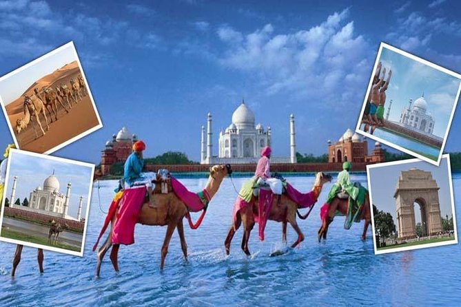 India's Best Seller-Taj Mahal and Agra Fort Tour From Delhi - Who should book this Taj and Fort day trip