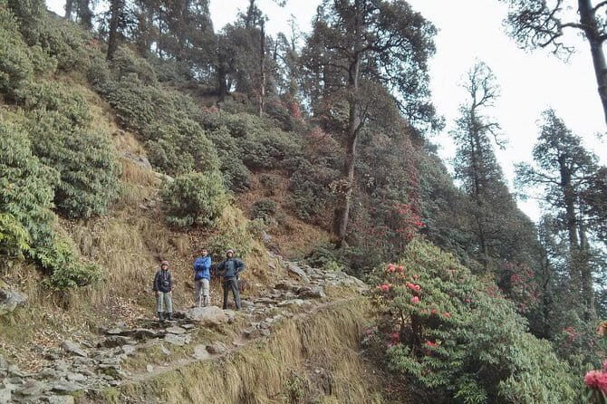 Indrahar Pass Trek with Manu Adventures India - Price and what you’re truly paying for