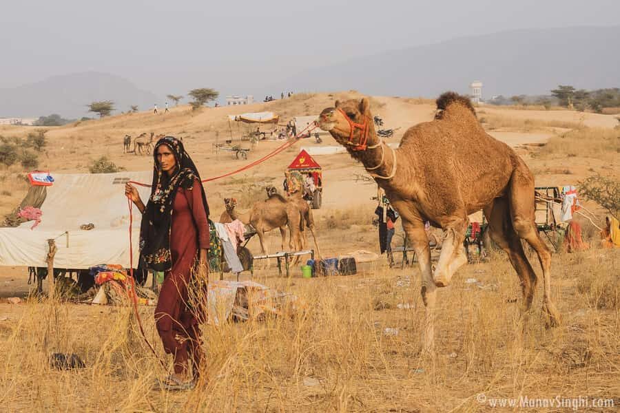 Jaipur: Ajmer & Pushkar Day Trip with Lunch & Camel ride - Adhai Din Ka Jhonpra: fast-built Islamic architecture in 30 minutes