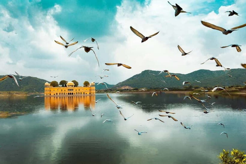 Jaipur: Amber Fort, Stepwell & Jal Mahal with Pickup - Key things to know before you go