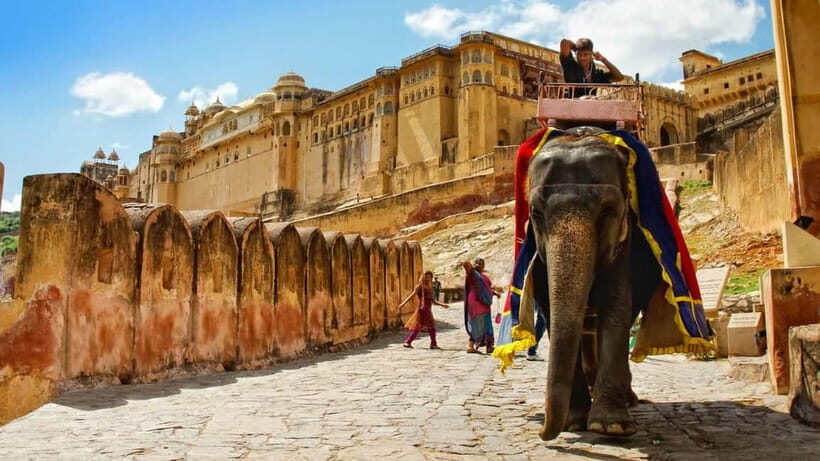 Jaipur: Amber Fort, Stepwell & Jal Mahal with Pickup - Amber Fort: UNESCO drama, mirror palace details, and a guided walk you can follow