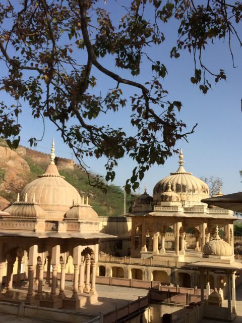 Jaipur : Cultural & History Tour With Private Guide - Lunch break: Rajasthani food time, but plan for costs