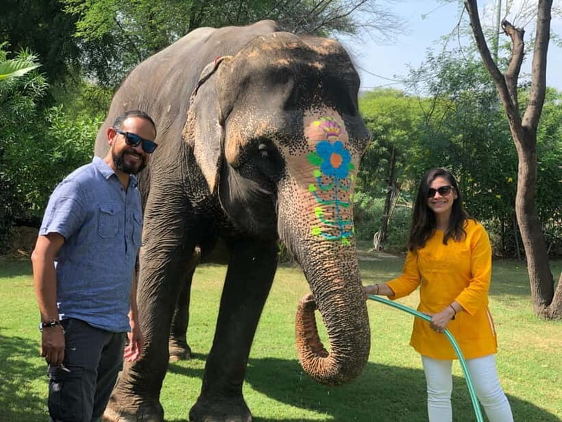 Jaipur: Elephant Interaction Tour - Key things to know before you go