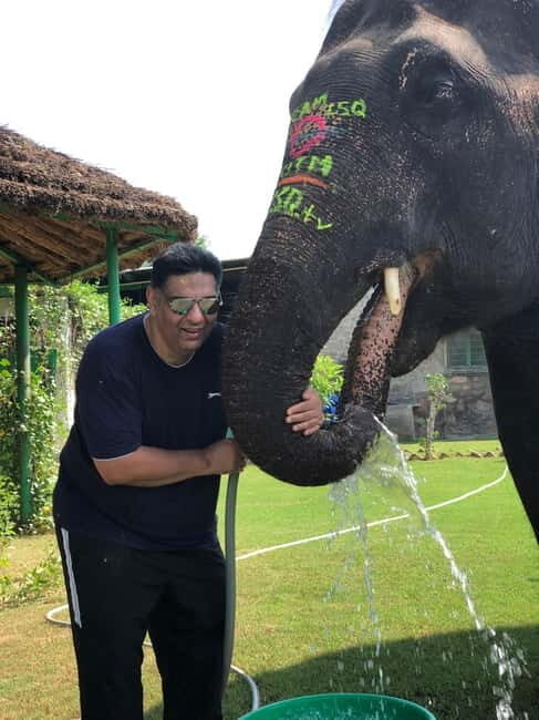 Jaipur: Elephant Interaction Tour - Booking decision: should you book this elephant interaction tour