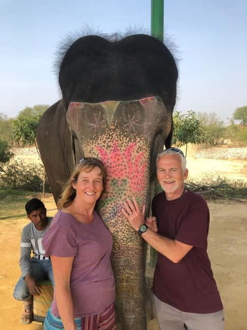 Jaipur: Elephant Interaction Tour - Feeding: how trust grows and what they like to eat