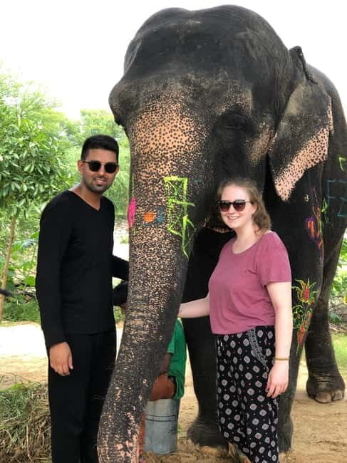 Jaipur: Elephant Interaction Tour - Walking with elephants, plus wildlife viewing on foot