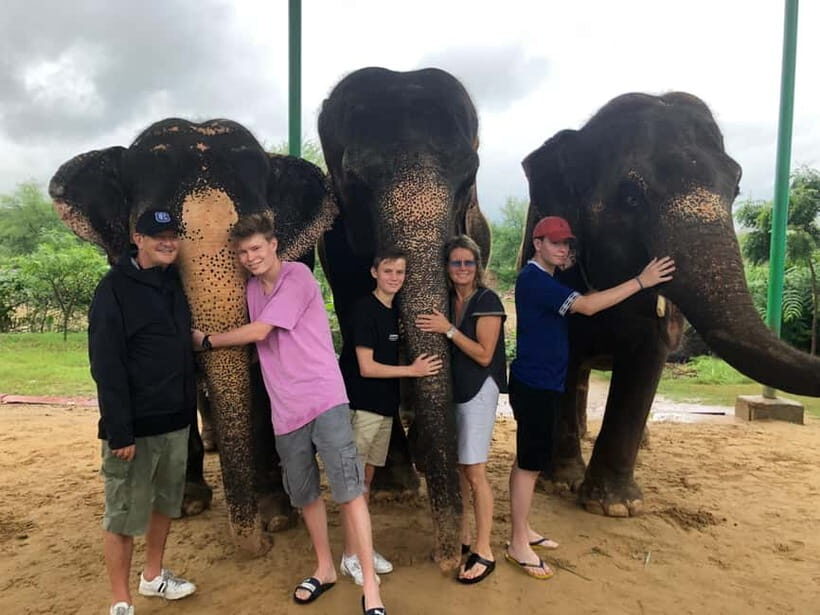 Jaipur: Elephant Interaction Tour - Elephant washing and shower: close-up, safe, and rule-based