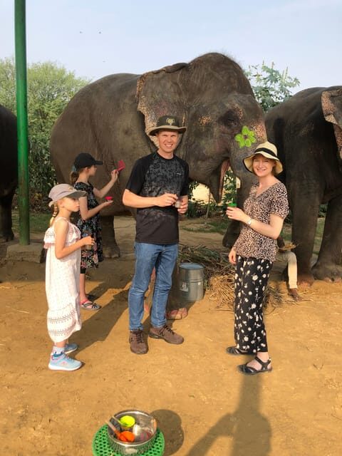 Jaipur: Elephant Interaction Tour - Price and value: what $58 buys you in 4 hours
