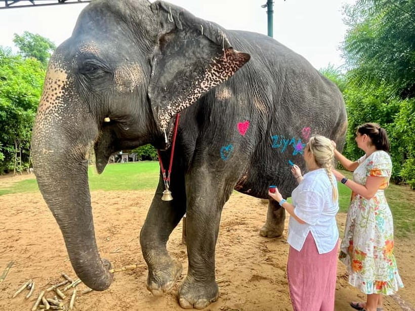 Jaipur: Elephant Interaction Tour - What kind of traveler will love this most