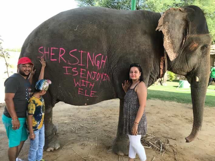 Jaipur: Elephant Interaction Tour - Elephant Village: meeting rescued elephants in a welfare-focused setting