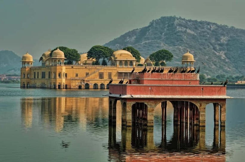 Jaipur: Explore Amber, Jaigarh & Nahargarh Fort with Sunset - Nahargarh Fort at sunset: panoramic Pink City views that close the loop