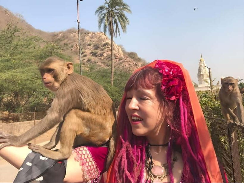 Jaipur: Explore City Sights, Amber Fort & Monkey Temple - Jal Mahal pass-by: scenic break time over another long stop